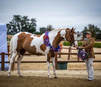 495629050_10108001500336045_7955411079871473612_n