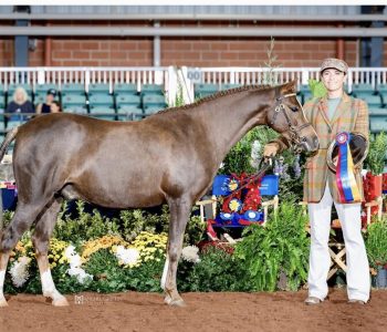 570041209_10166439276278782_2419842446052007379_n