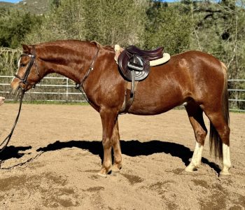 595510650_10108455784731475_16635965082772923_n