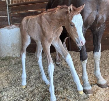 667667114_10108819799742475_733197232182128475_n