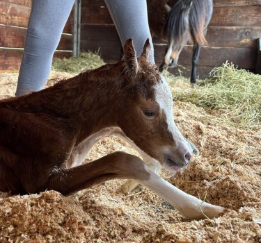 670519662_10108830824658455_4238263996481170833_n